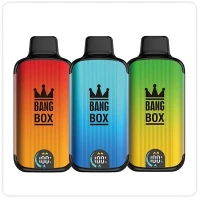 Bang Box 18000 Puffs